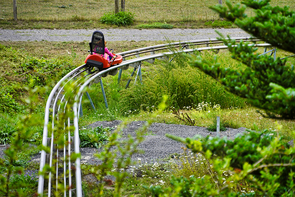Wipperia Funpark - Sommerrodelbahn und Kletterwald | Wippra – Bild 3