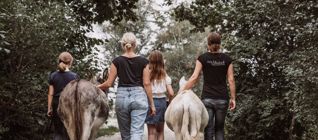 Hof Altenbrück – Bild 3