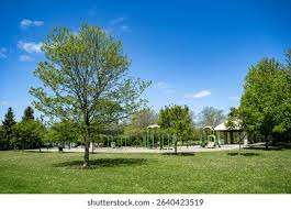 Simonston Park – Bild 4