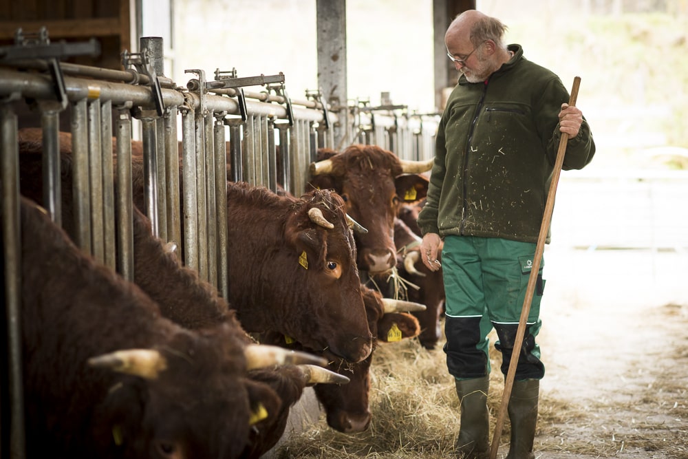 Klosterhof Bünghausen – Bild 5
