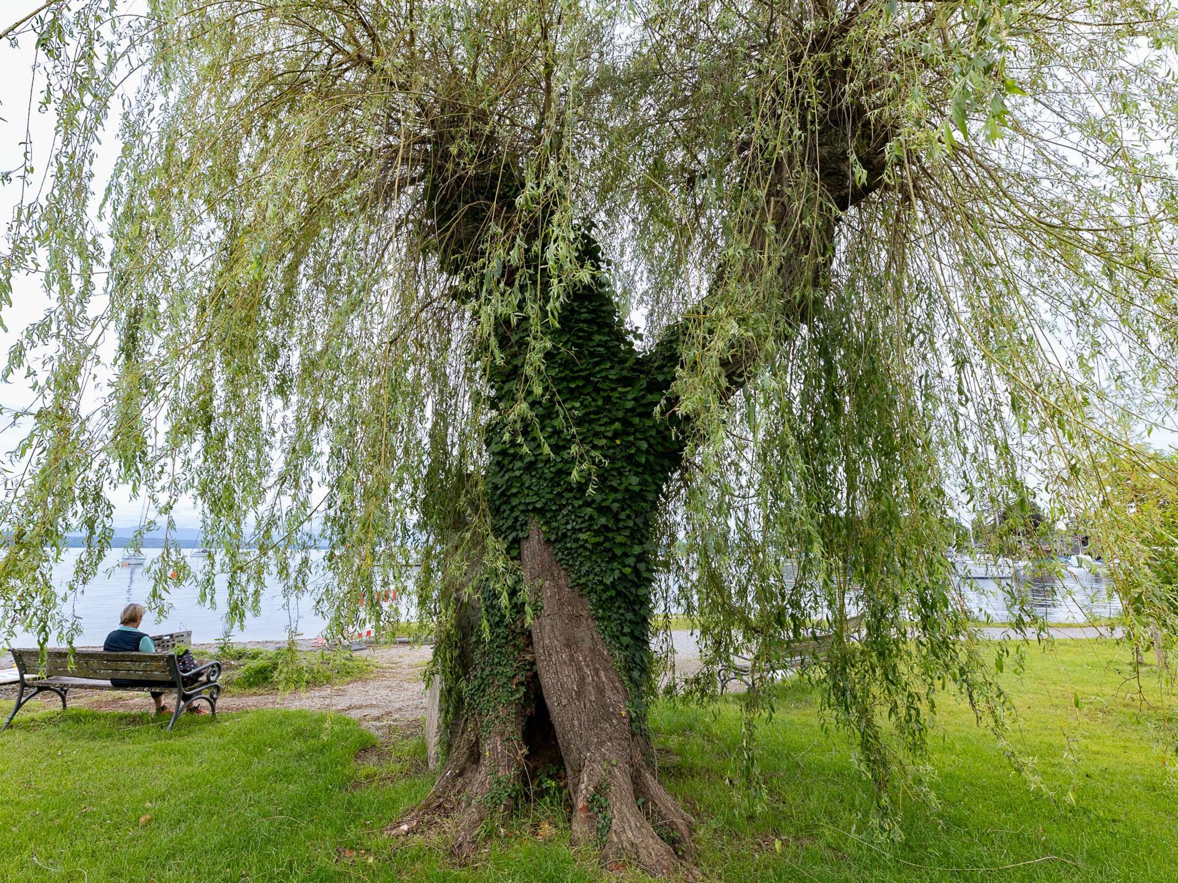 Spielplatz Tutzing Brahmspromenade – Bild 6