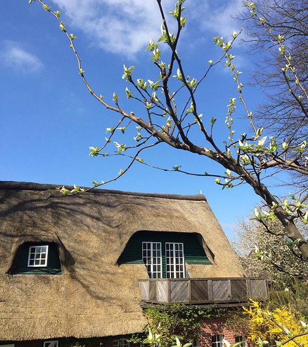 Bioland-Hof Bockmann – Bild 5