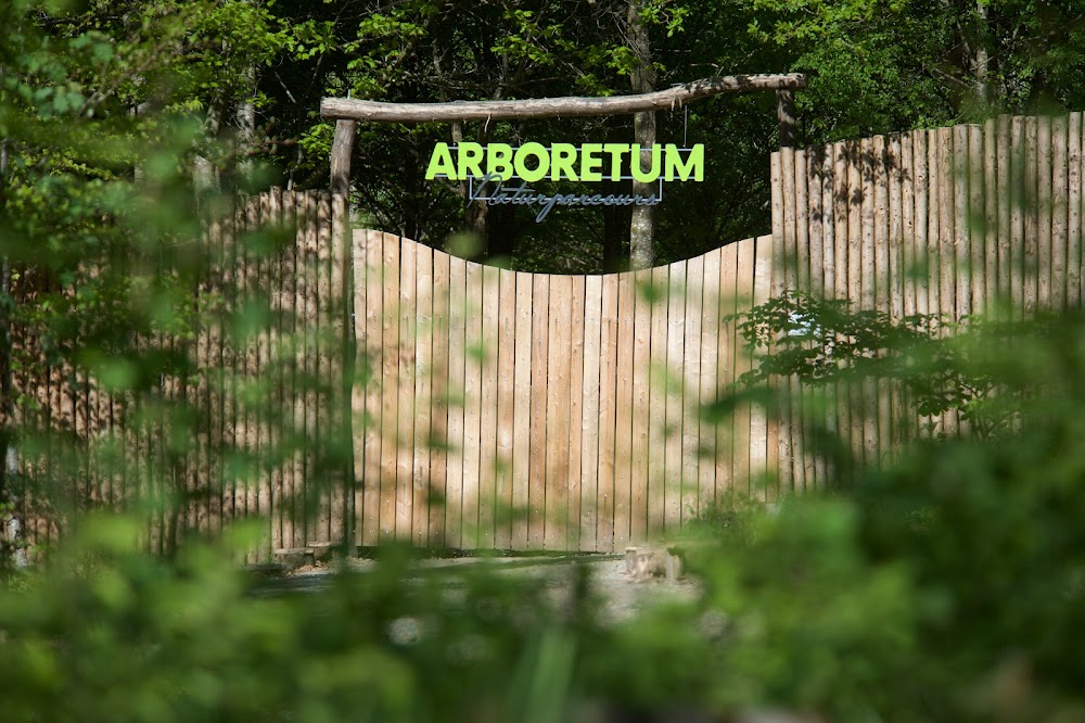 Arboretum Naturparcours – Bild 3