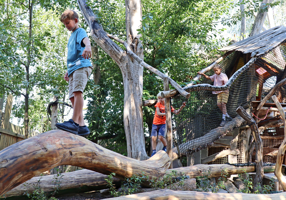 Ziegler Spielplätze von A bis Z, Freizeitanlagen e.K. – Bild 1