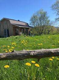 Chez Kim, ferme familiale – Bild 2