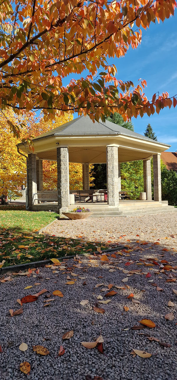 Landwehrgrund – Bild 2