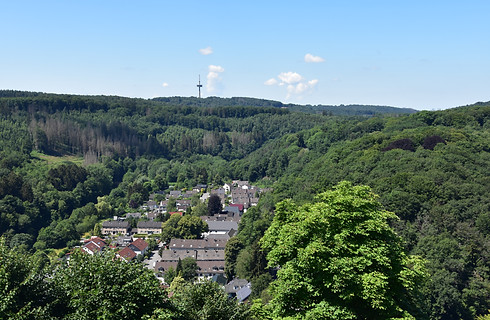 Zum Burgnarr – Bild 4