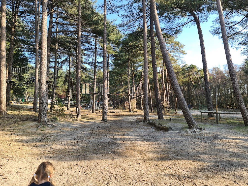 Wernerwald – Bild 4