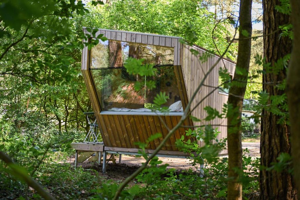 Wernerwald – Bild 5