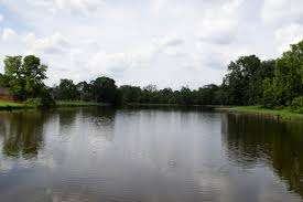 Forest Heights Park – Bild 5