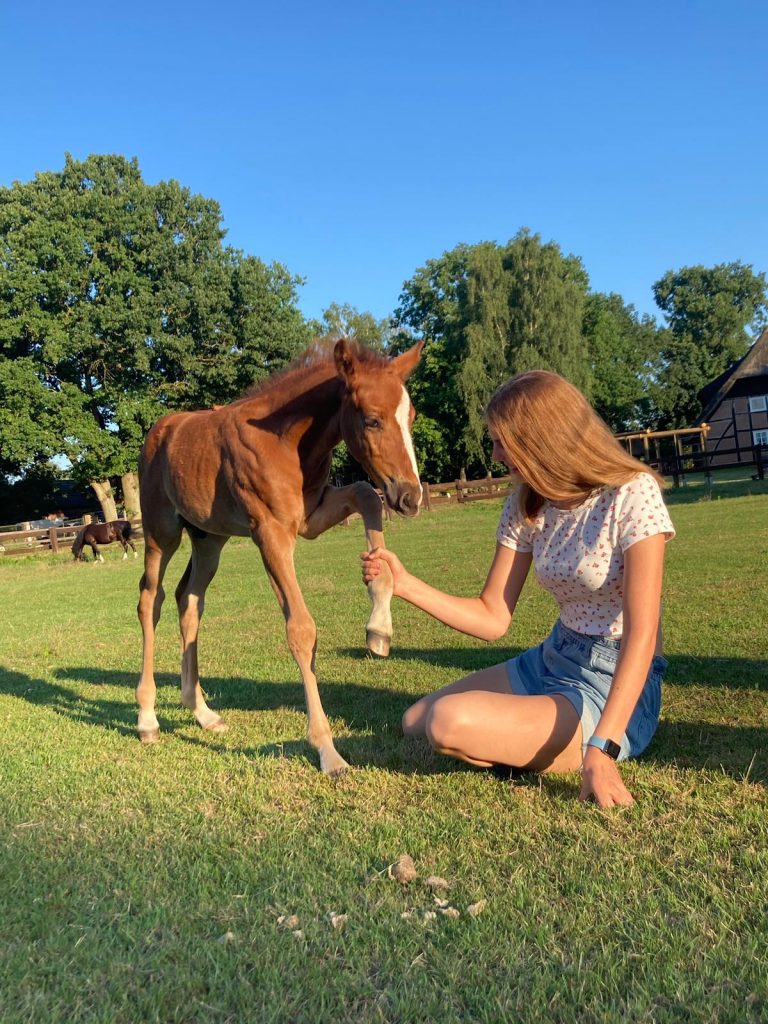 Reit- und Ferienhof Klaucke – Bild 1