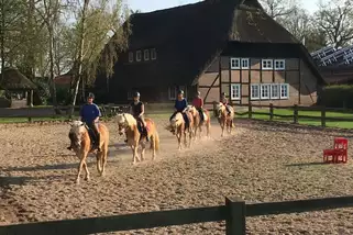 Reit- und Ferienhof Klaucke – Bild 2