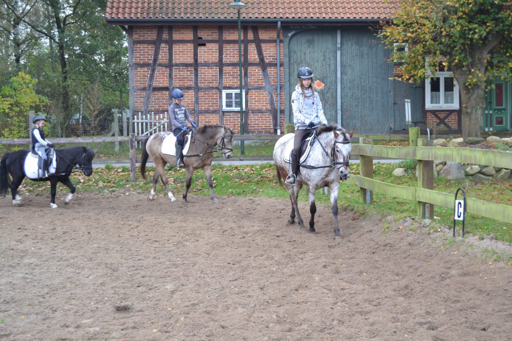 Reit- und Ferienhof Klaucke – Bild 6