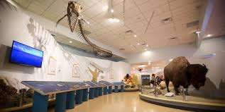 Swift Current Museum – Bild 2