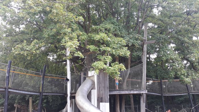 Werk Bleidenberg – Bild 2