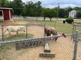 Livermon Park & Mini Zoo – Bild 3