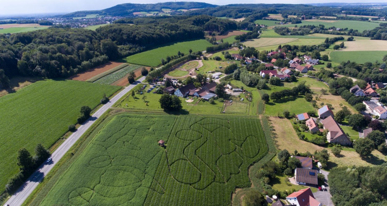 Bauer Bernd – Bild 1