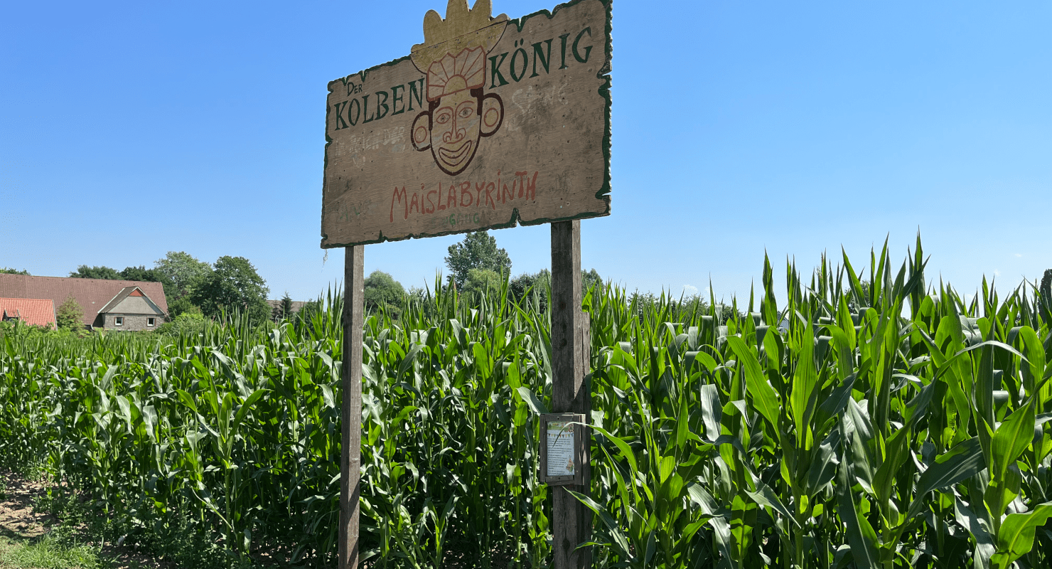 Bauer Bernd – Bild 4