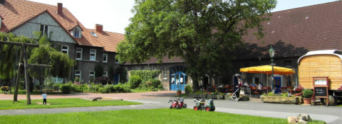Köckerhof - Landwirtschaft, Bioladen & Café – Bild 1