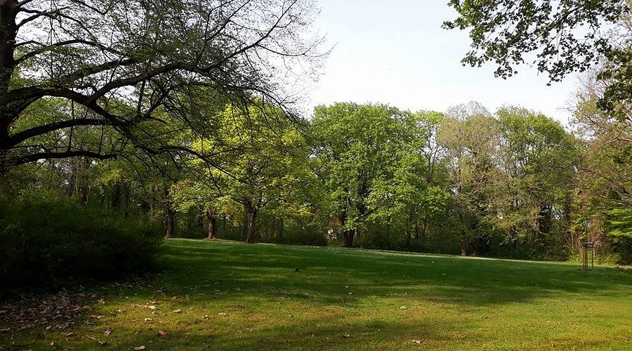 Stadtpark – Bild 4