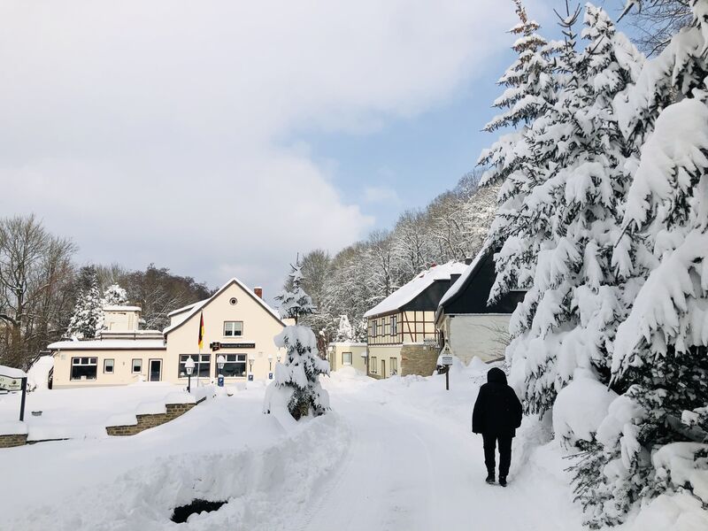 Markls Pferdestall – Bild 6