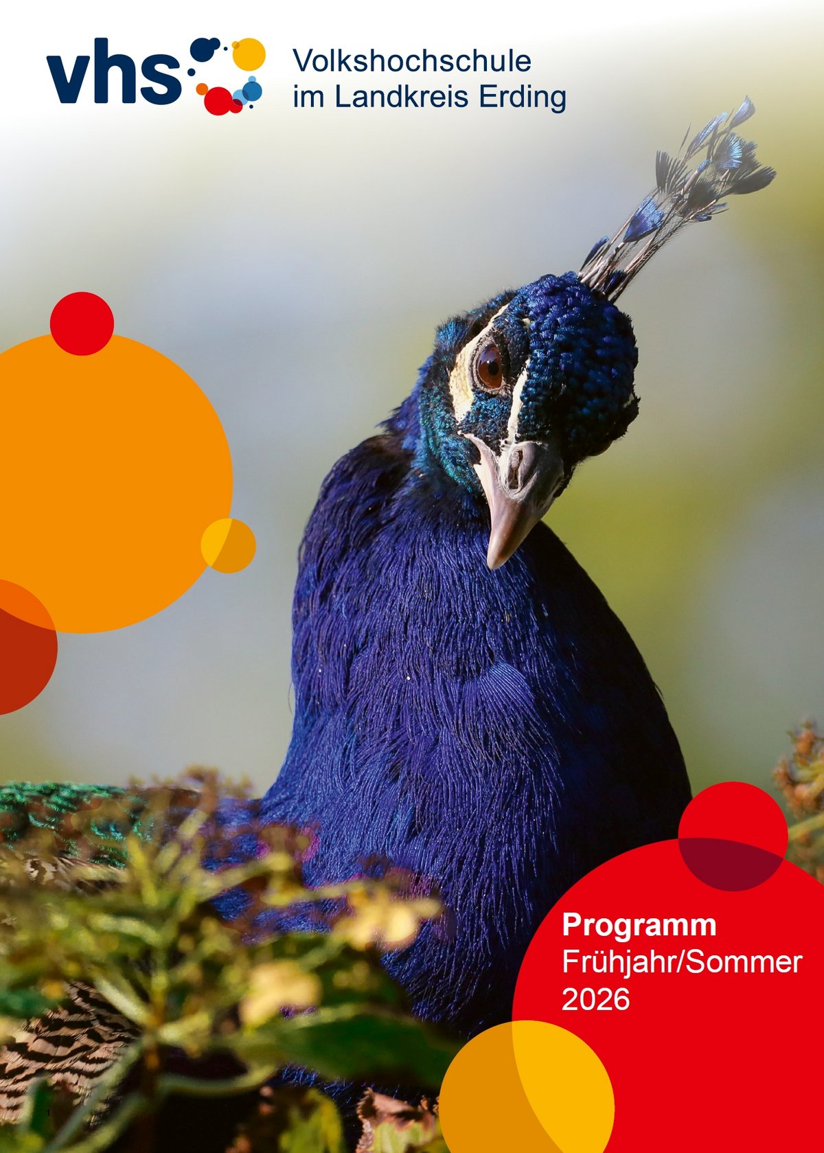 vhs - Volkshochschule im Landkreis Erding – Bild 2