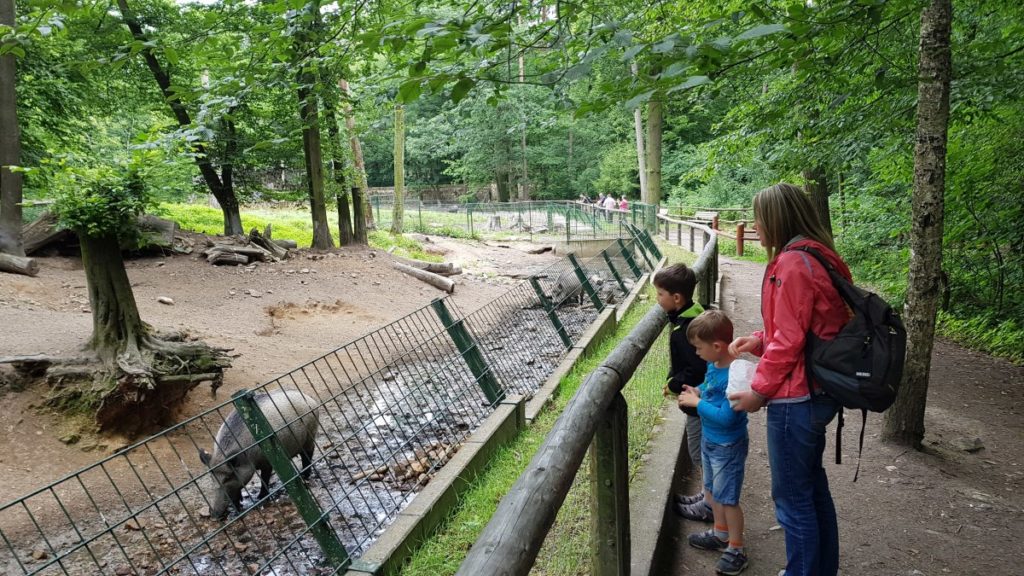 Wildgehege Moritzburg - Staatsbetrieb Sachsenforst Forstbezirk Dresden – Bild 4