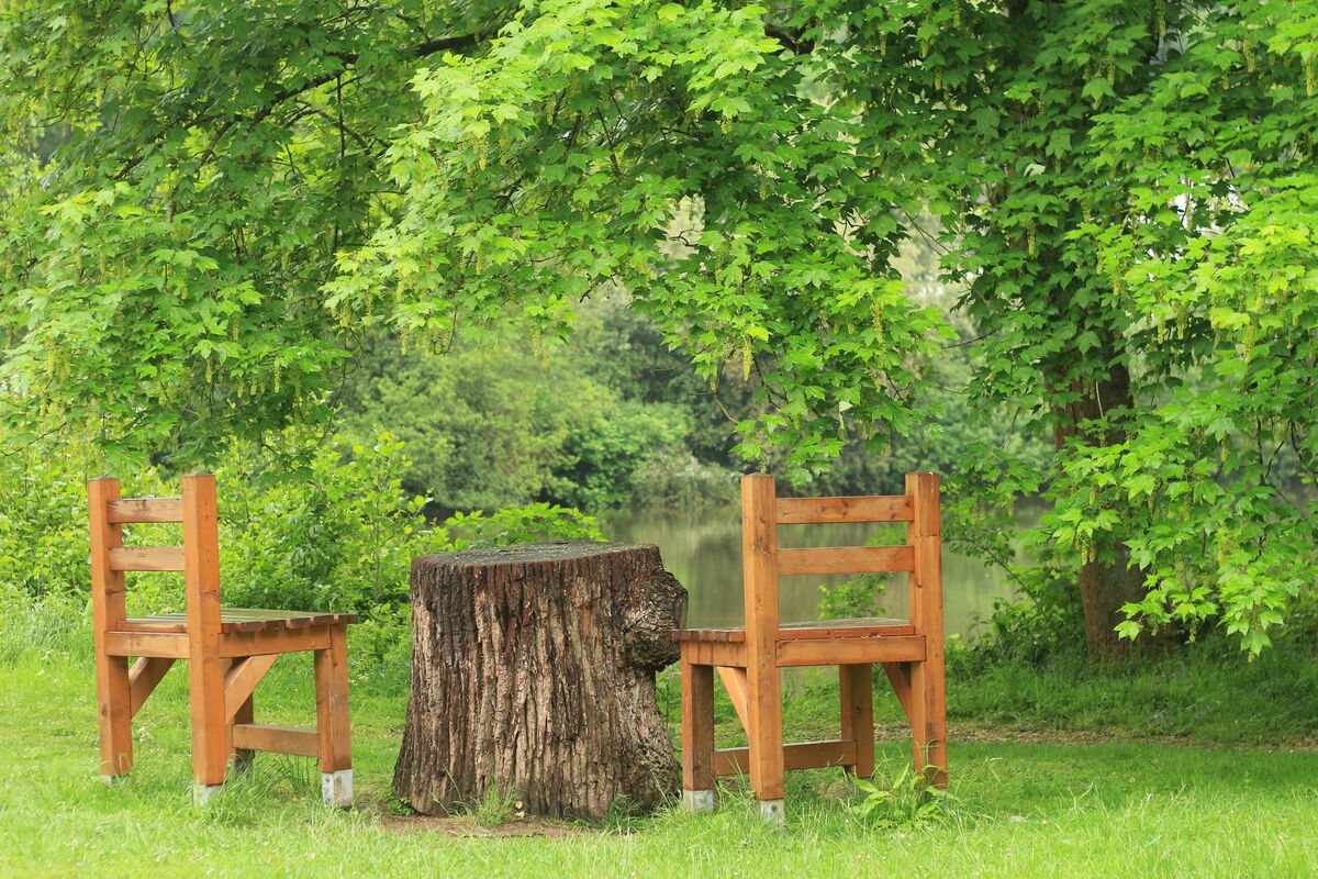 Wildpark Tiergarten Weilburg – Bild 3