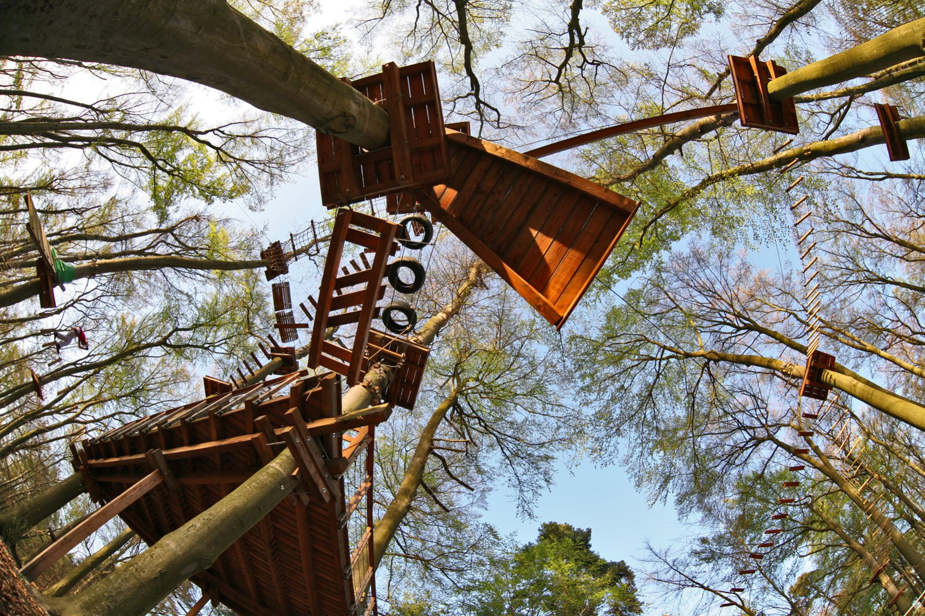 Kletterwald Taunus – Bild 2