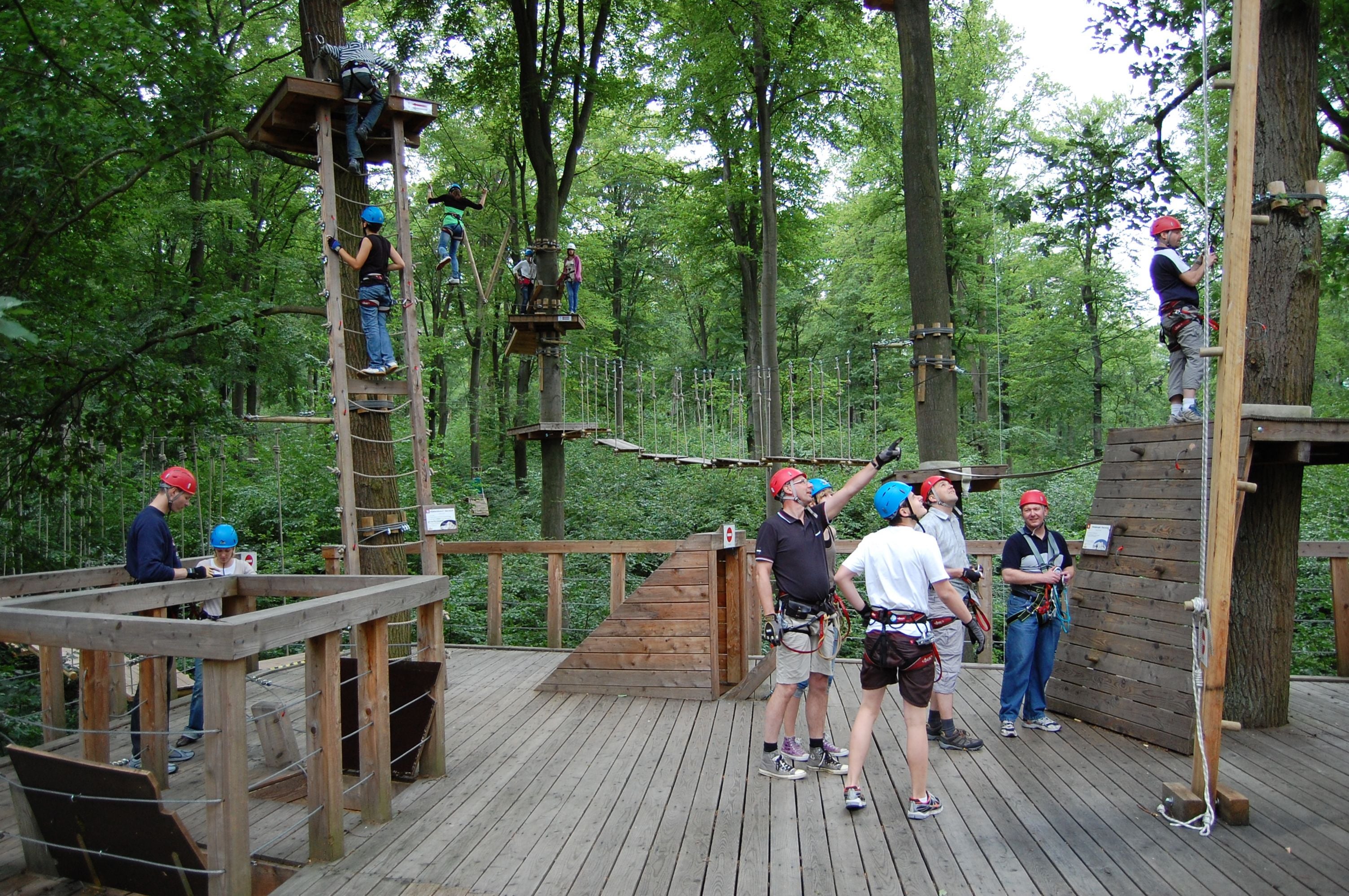 Kletterwald Taunus – Bild 3