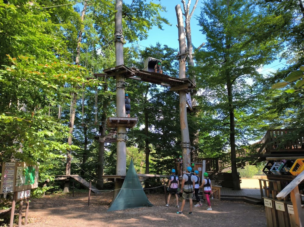 Kletterwald Taunus – Bild 4