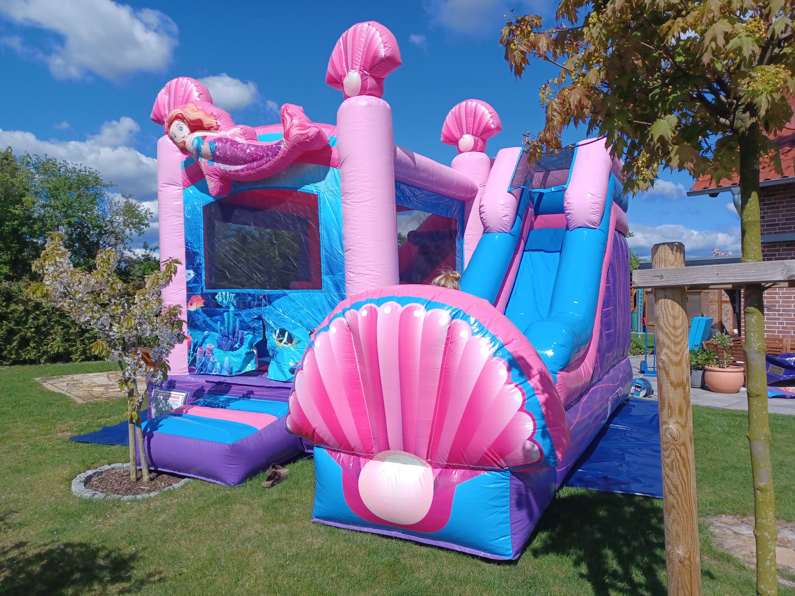 SPRINGfest Hansmann – Bild 5