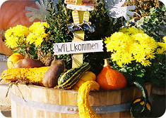 Hof Bisinger – Bild 6