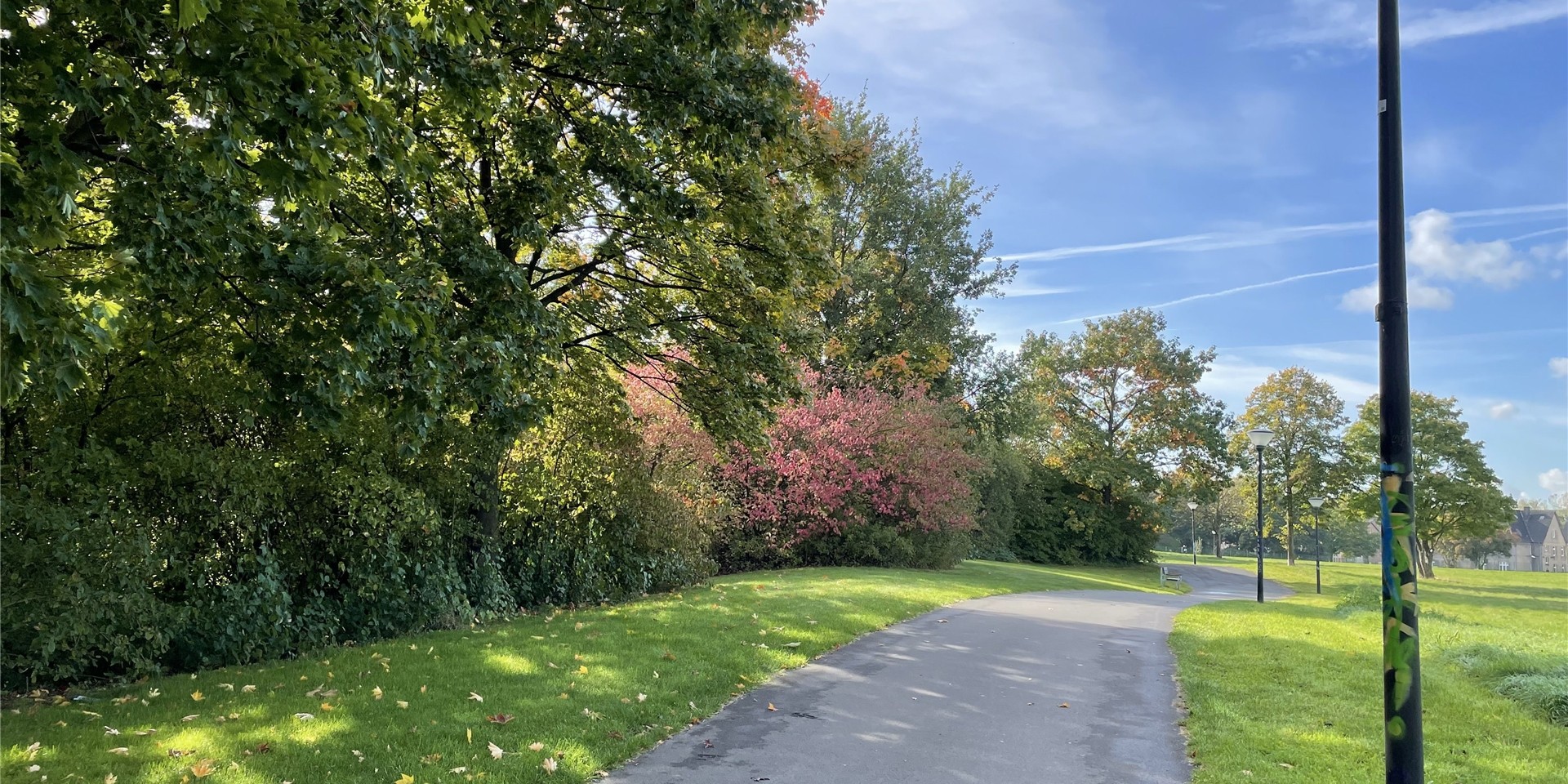 Hansemannpark – Bild 6