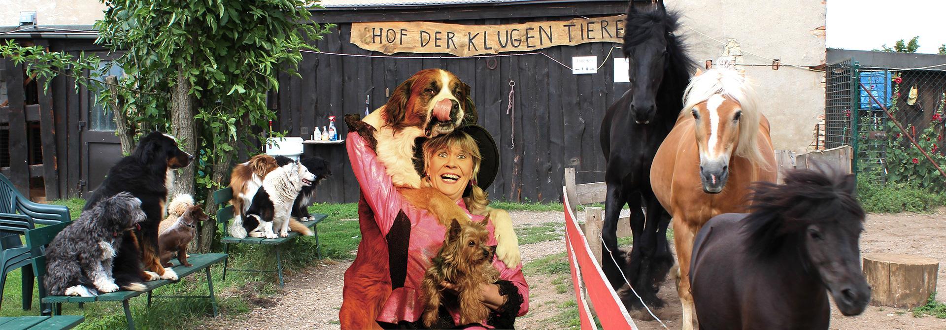 Hof der Klugen Tiere – Bild 4