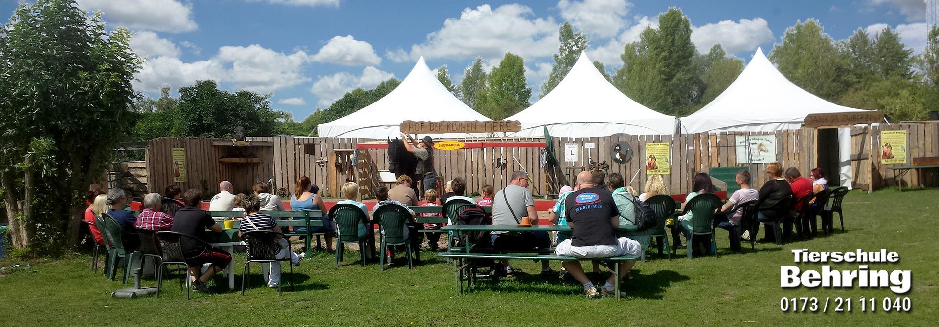 Hof der Klugen Tiere – Bild 5