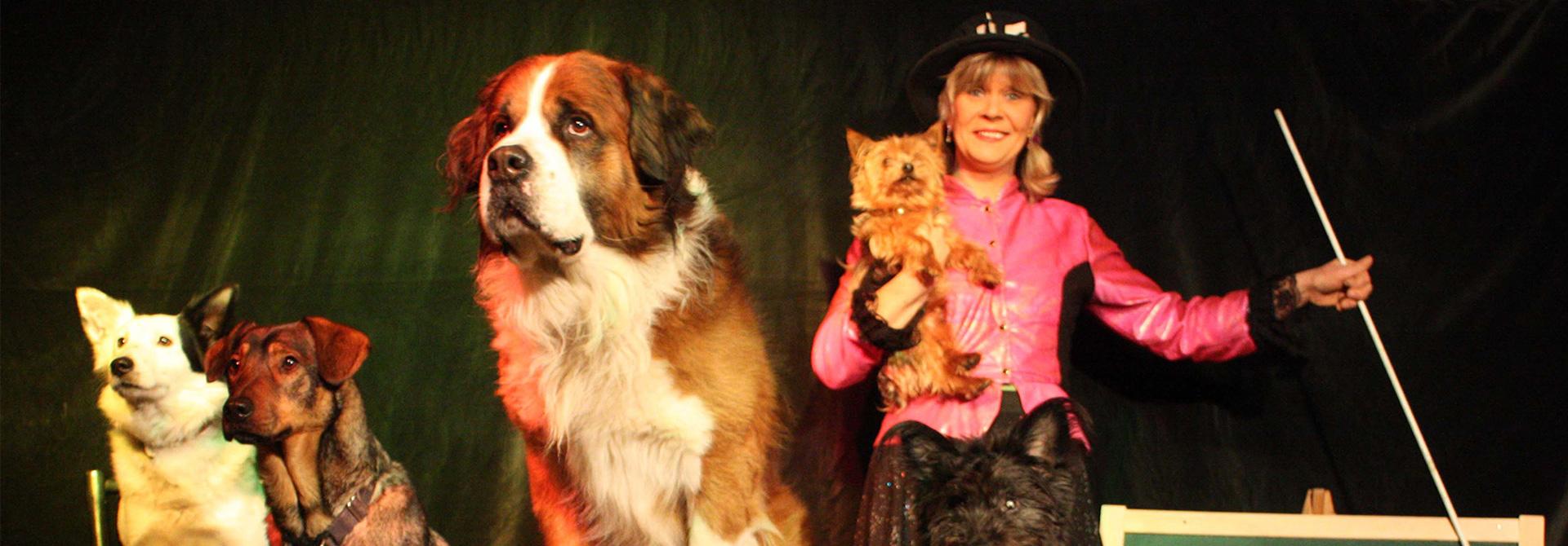 Hof der Klugen Tiere – Bild 6