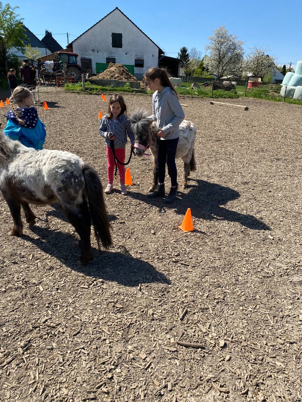 Jansen-Hof – Bild 5