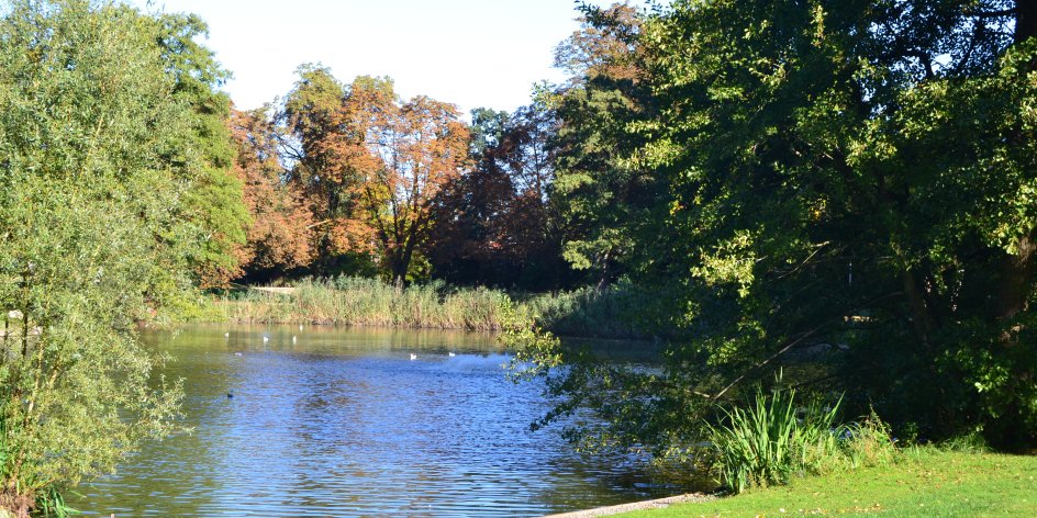 Waller Park – Bild 6