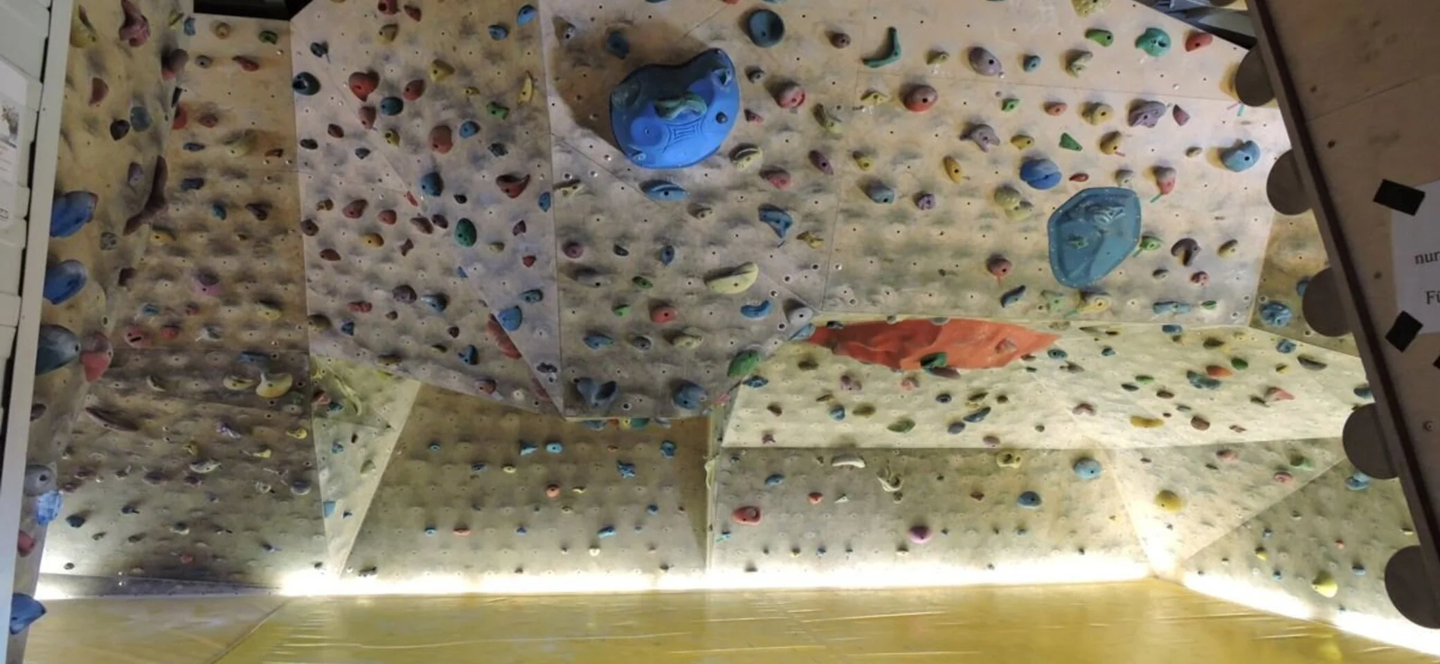 Pfalz Rock Kletterzentrum – Bild 6