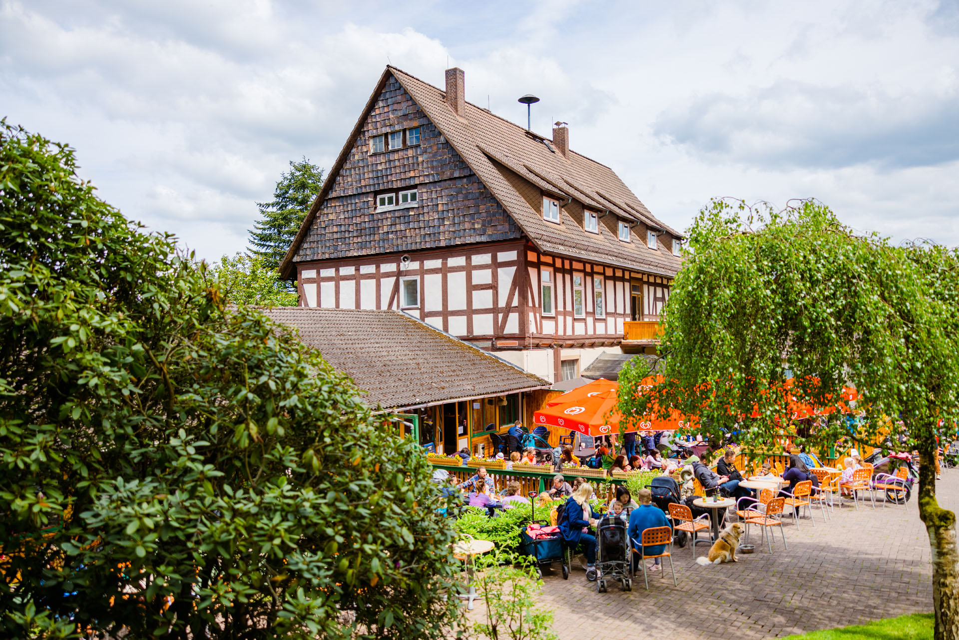 Erlebnispark Ziegenhagen – Bild 2