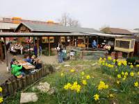 Tier- und Ökogarten Peine – Bild 1