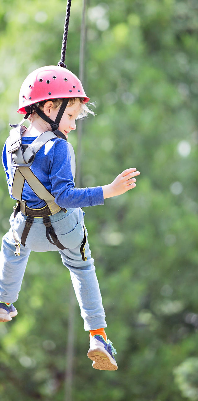 Wipfelstürmer – Bild 2