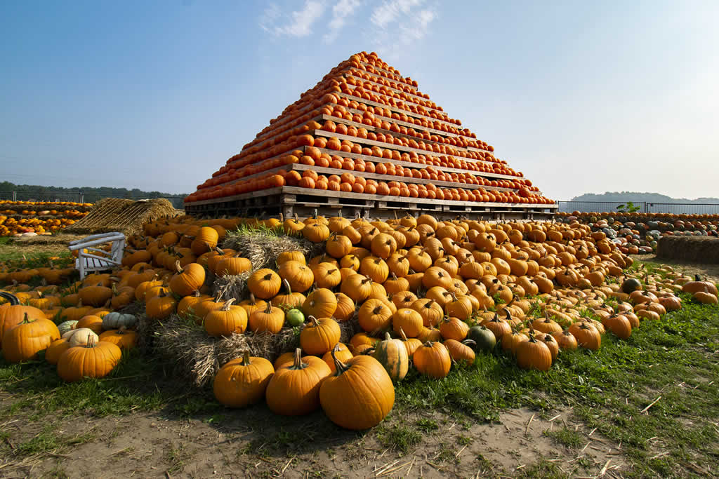 Hof Bartels - Hofladen & Café – Bild 3