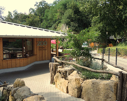 Zoo Landau in der Pfalz – Bild 2