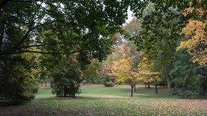 Les McKerral Park – Bild 2