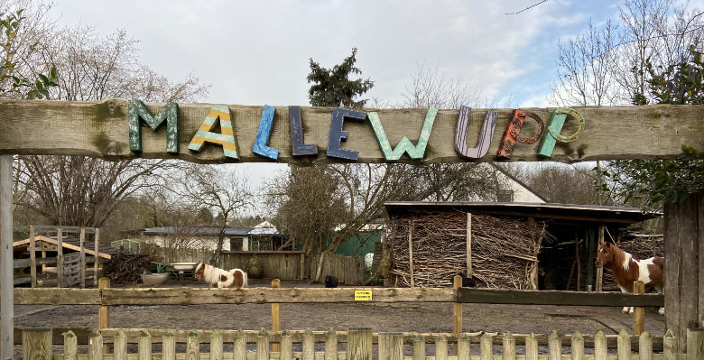 Mallewupp e.V. – Bild 1