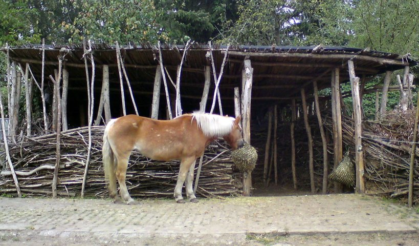 Mallewupp e.V. – Bild 3