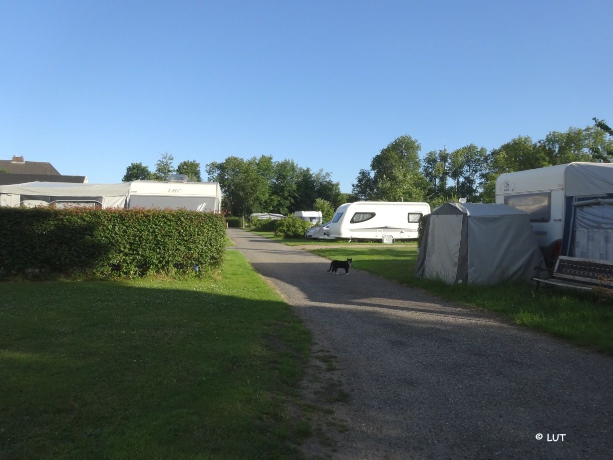 Comfort-Camp Eider GmbH – Bild 5