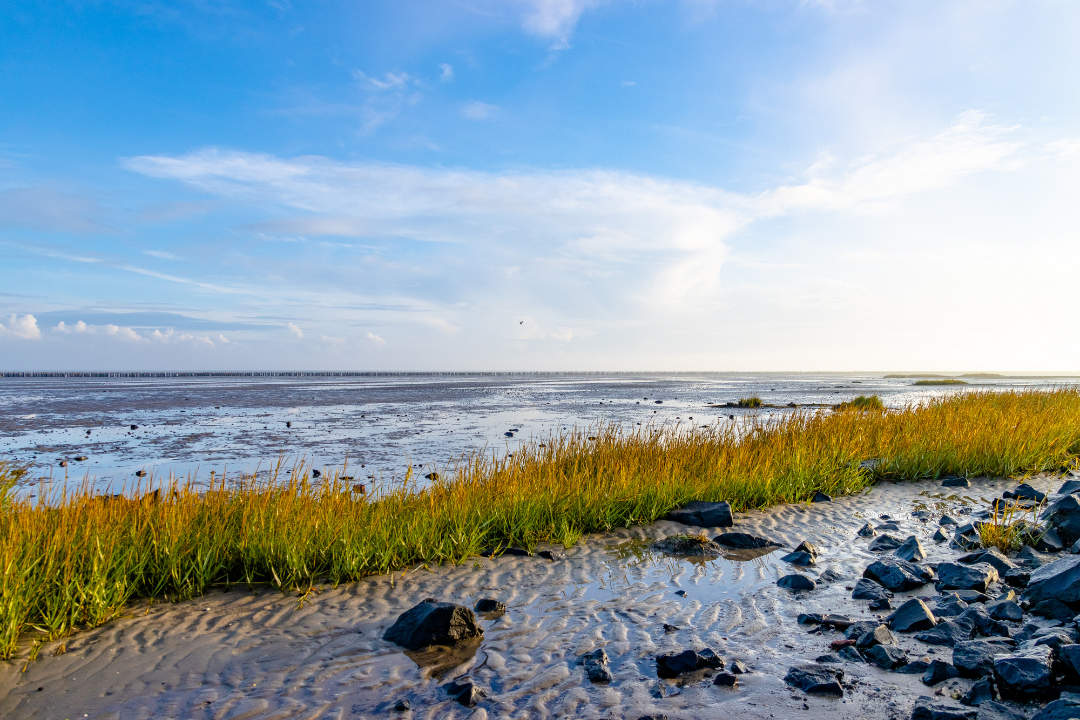 Esens-Bensersiel Tourismus – Bild 4